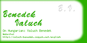 benedek valuch business card